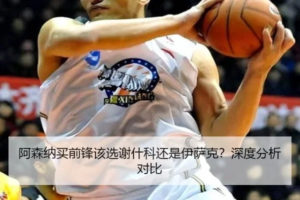 阿森纳买前锋该选谢什科还是伊萨克？深度分析对比